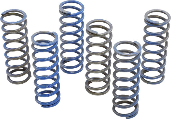 Hinson Racing - CS130-6-8602 - Hi-Temp Clutch Spring Kit - Honda