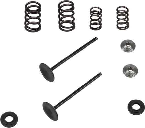 Kibblewhite - 96-96450 - Valve and Spring Kit - 0.425" Lift - KTM 250XCF-W | 250 RC4 Engines '08-'11