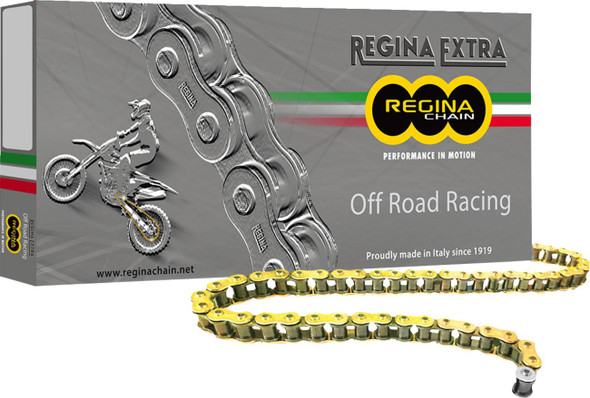 Regina - 135GPXV/001 - 520 GPXV - Drive Chain - 120 Links