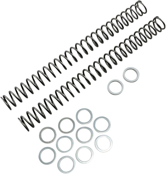 Race Tech - FRSP 434640 - Fork Springs - 0.40 kg/mm