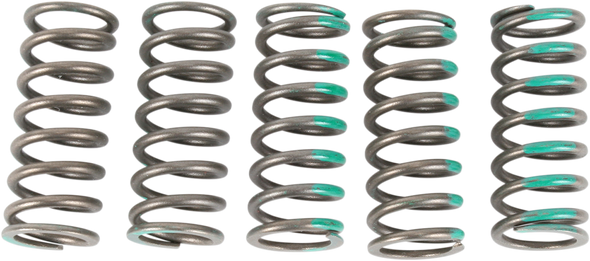 Pro Circuit - CSK19450-CS - Clutch Springs - KX 450F