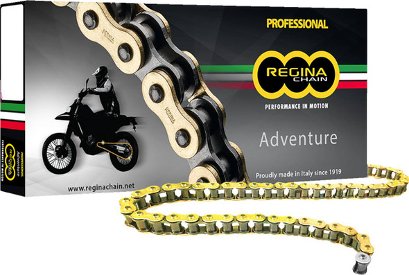Regina - 135ZRE/1003 - 520 ZRE - Z-Ring Chain - 110 Links
