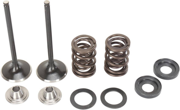 Moose Offroad -  - Valve and Spring Kit - KTM RFS Engines 400 cc - 560 cc