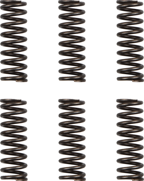 Moose Offroad - Clutch Springs - WR/YZ 450F