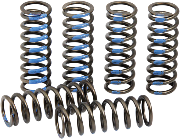 Pro Circuit - CSY19250-CS - Clutch Springs - YZ 250F
