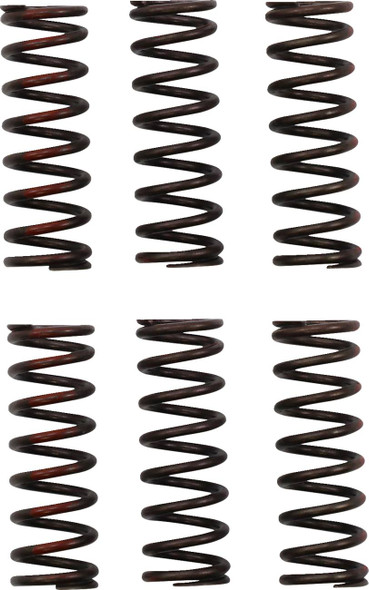 Pro Circuit - CSH21450-CS - Clutch Springs - CRF 450R
