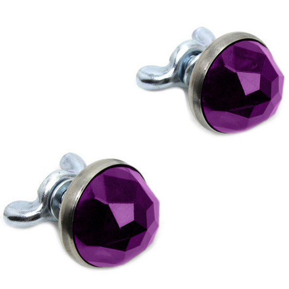 V-Twin - Purple Glass License Plate Reflector Set