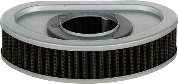 Harddrive - TJ-A-075 - Performance Air Filter Repl Oem 29191-08