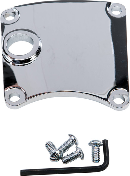 Harddrive - 210245 - Inspection Cover W/Mid Controls Chrome
