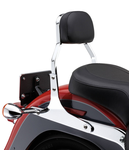 Cobra - 602-1100 - Mini Sissy Bar Chrome Flst 00-06