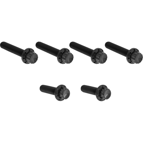 Arlen Ness - Bolt Kit - Cable Clutch - Titanium - 12-Point - M8/Twin Cam - Fits 2007-2025 Electra Glide / Street Glide, 2007-2025 Road Glide, 2007-2025 Road King & More
