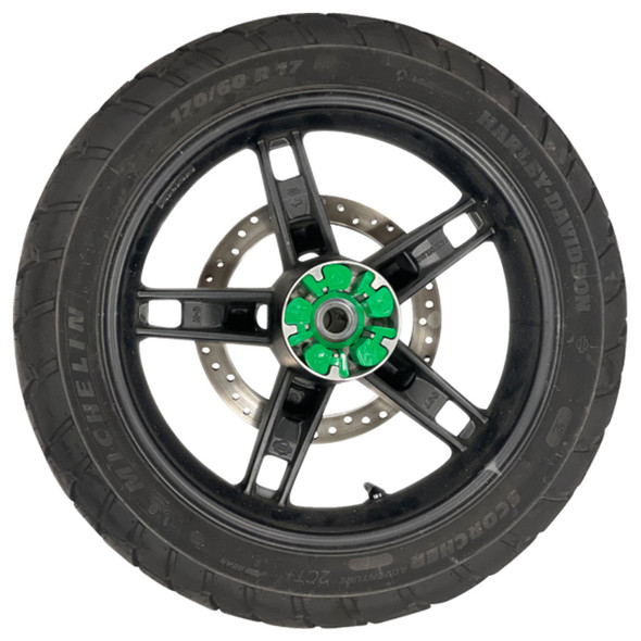 Alloy Art - Super Cush III Drive Dampener fits Harley Pan America, Sportster S, & Nightster Models