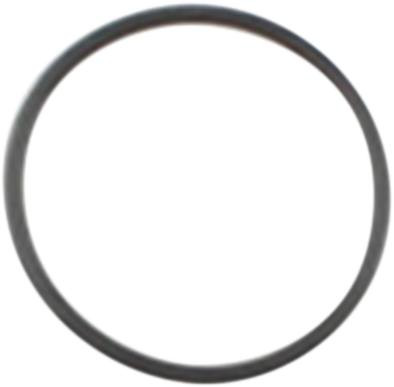 Cometic - C9201F1 - Starter Seal O-Ring - Twin Cam
