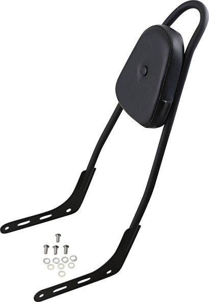 Motherwell - 156T18-MB-SK-WP - One-Piece Sissy Bar - Matte Black - Skull - With Pad