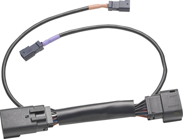 Ciro - 42421 - Wire Harness - Harley Davidson