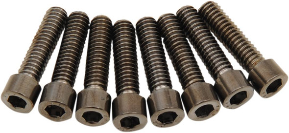 Drag Specialties - 24011020 - Bolt Kit - Lifter - Black/Chrome - Smooth - M8