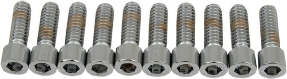 Drag Specialties - DS190535S - Bolts - Socket-Head - Smooth - 1/4-20 x 3/4"