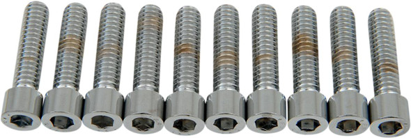 Drag Specialties - DS190537S - Bolts - Socket-Head - Smooth - 1/4-20 x 1"
