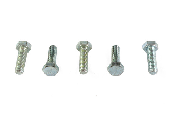 V-Twin - 73-0021 - Hex Cap Bolts Zinc 5/16 inch X 1 inch