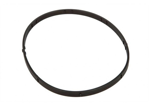 V-Twin - 14-0006 - M8 Primary Derby O-Rings - Fits 2019-2022 Harley-Davidson FLSB, 2019 FXBR, 2019-2020 FXSDRS, FXFB, 2019-2022 FLHCS, 2020-2022 FXLRS, 2019-2020 FLFB, 2022 FXLRST, FXRST, 2019-2020 FXBB, 2021-2022 FXBBS, 2019-2022 FXFBS & more