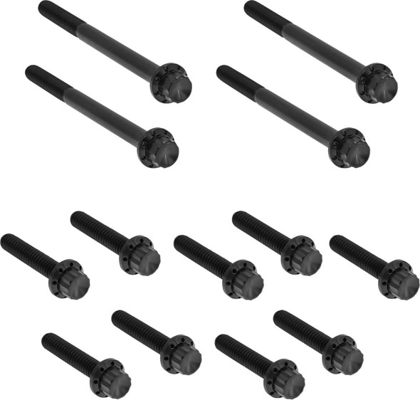 ARLEN NESS - 24011732 - Bolt Kit - Primary Cover - Titanium - 12-Point - Softail - Black