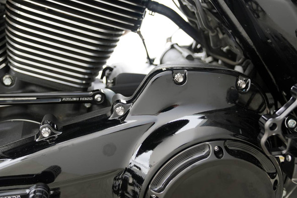 ARLEN NESS - 24011728 - Bolt Kit - Primary Cover - Titanium - 12-Point - FLT - Polished