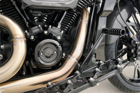 Arlen Ness - Titanium 12-Point Cam Cover/Point Cover Bolt Kit Arlen Ness - Titanium 12-Point Cam Cover/Point Cover Bolt Kit