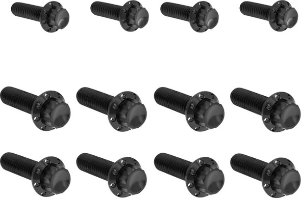 ARLEN NESS - 24011753 - Bolt Kit - Transmission Side Cover/Trap Door - 12-Point - Titanium - Black
