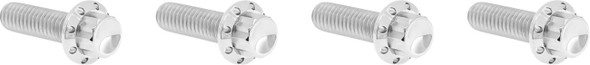 ARLEN NESS - 24011756 - Bolt Kit - Transmission Top Cover - 12-Point - Titanium - Polished