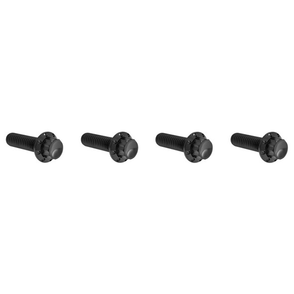 Arlen Ness - Titanium 12-Point Transmission Top Cover Bolt Kit Arlen Ness - Titanium 12-Point Transmission Top Cover Bolt Kit