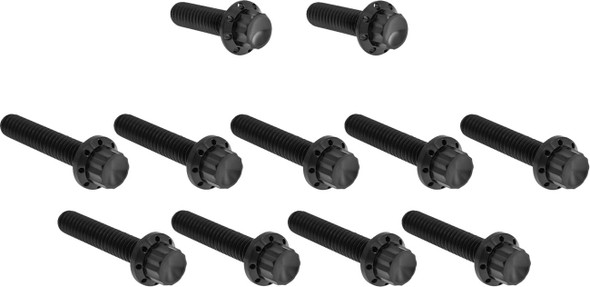 ARLEN NESS - 24011759 - Bolt Kit - Cam Cover/Point Cover - Titanium - 12-Point - Black