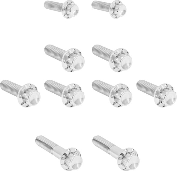 ARLEN NESS - 24011761 - Bolt Kit - Transmission Side Cover/Trap Door - 12-Point - Titanium - Polished