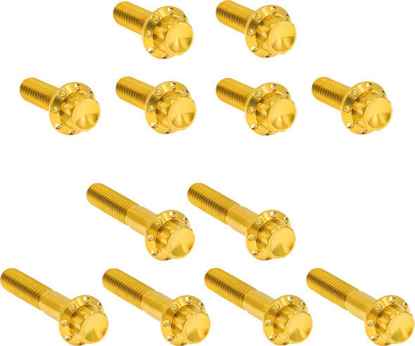 ARLEN NESS - 24011772 - Bolt Kit - Rocker Box - 12-Point - Titanium - Gold