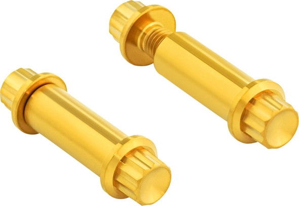 ARLEN NESS - 24011777 - Bolt Kit - Footpeg - 12-Point - Titanium - Gold