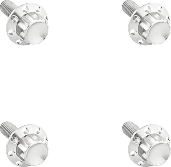 ARLEN NESS - 24011787 - Bolt Kit - Windshield - Titanium - 12-Point - Polished