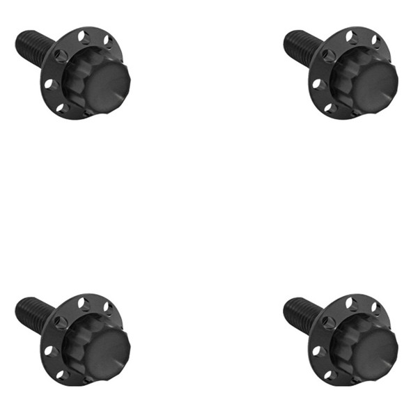 Arlen Ness - Titanium 12-Point Windshield Bolt Kit Arlen Ness - Titanium 12-Point Windshield Bolt Kit