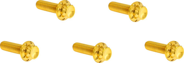 ARLEN NESS - 24011792 - Bolt Kit - Derby Cover - 12-Point - Titanium - Gold