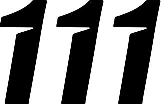 D'Cor Visuals - 43100882 - Slash Number Plate - #1 - Black - 4"