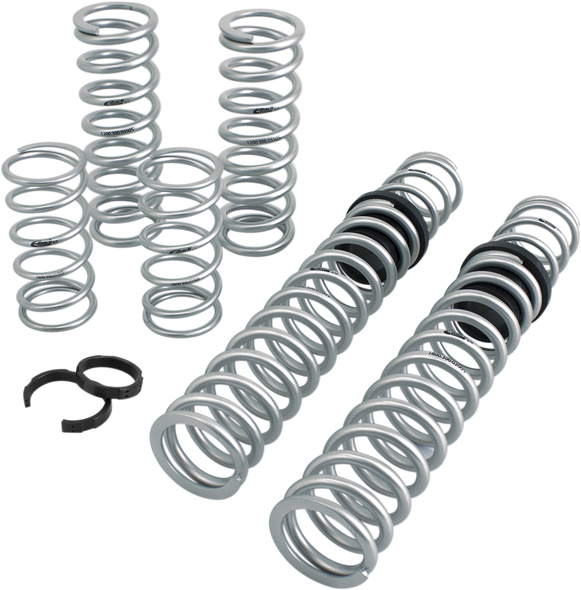 Eibach - 13120790 - Stage 2 Pro UTV Performance Spring System - For OEM Walker Evans Shock