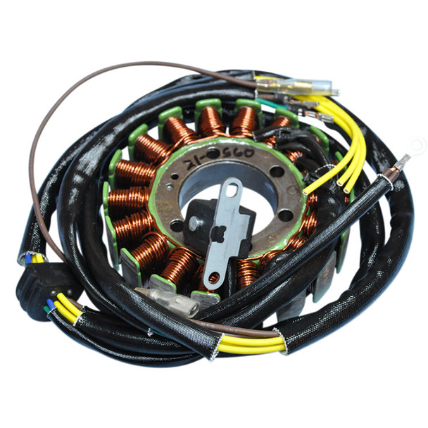 Rick'S Motorsport Electric - 21120646 - Stator - Polaris