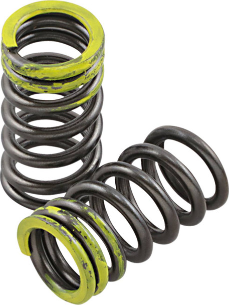 Xceldyne - PSIMX2104 - Valve Springs - Intake - Kawasaki | Suzuki