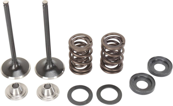 Moose Offroad - Valve and Spring Kit - KTM RFS Engines 400 cc - 560 cc