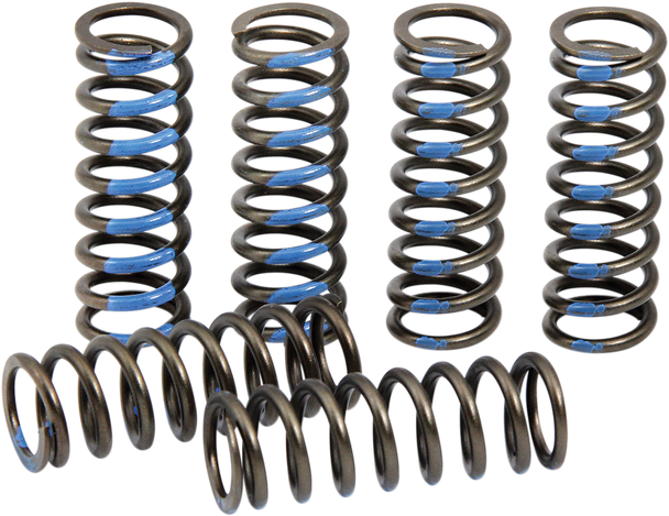 Pro Circuit - CSY19250-CS - Clutch Springs - YZ 250F