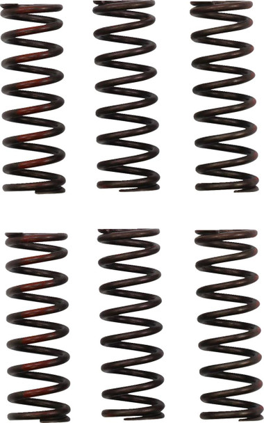 Pro Circuit - CSH21450-CS - Clutch Springs - CRF 450R