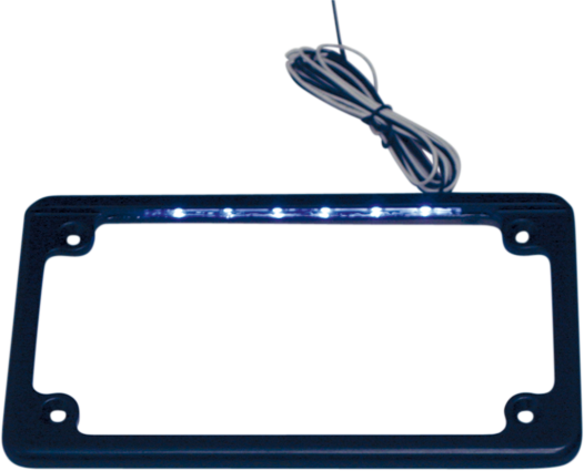 Custom Dynamics - LED License Plate Frame