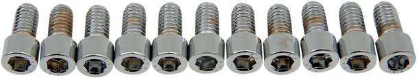 Drag Specialties - DS190543S - Bolts - Socket-Head - Smooth - 5/16-18 x 5/8"
