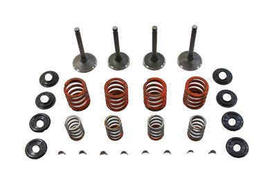 V-Twin - 11-0794 - Nitrate Valve and Spring Kit