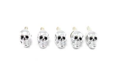V-Twin - 37-9076 - License Plate Frame Skull Krommet Set Chrome