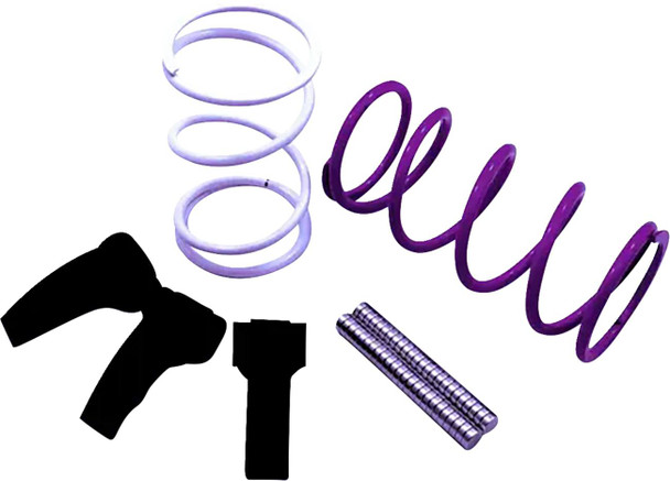 Dynojet - 11400900 - Clutch Kit - RZR XP 1000