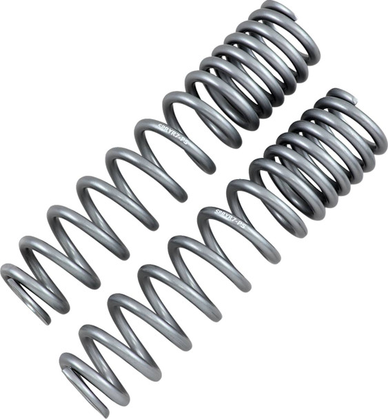 High Lifter - 04310455 - Shock Springs - Rear - Silver